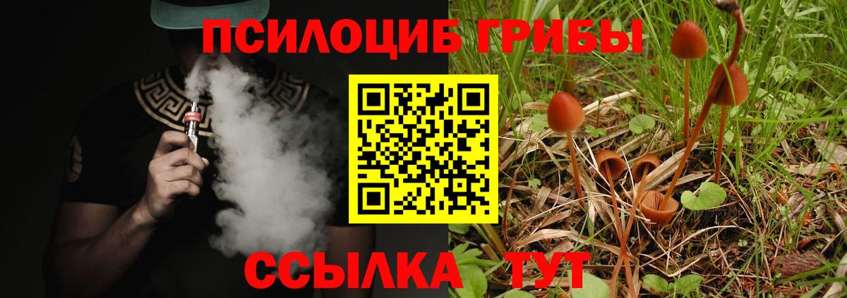 Галлюциногенные грибы MAGIC MUSHROOMS  Вход с VPN  Саров  Галлюциногенные грибы прущие грибы 